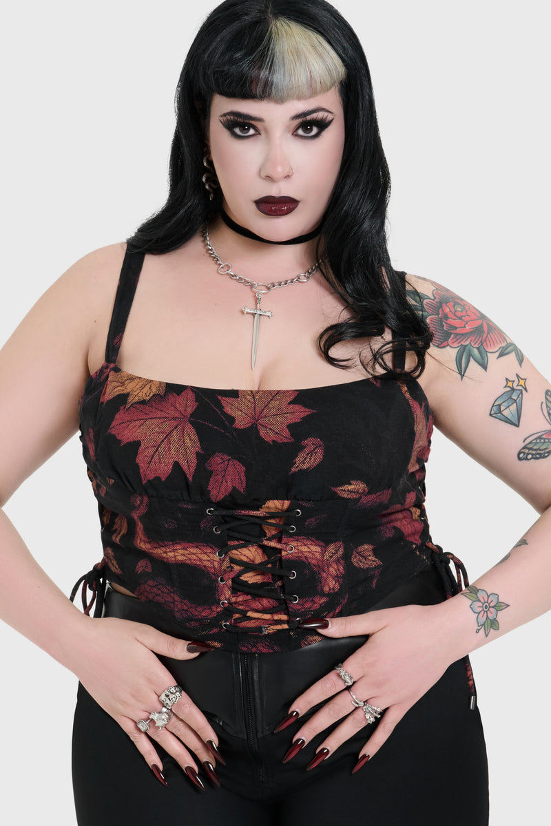 Model:plus