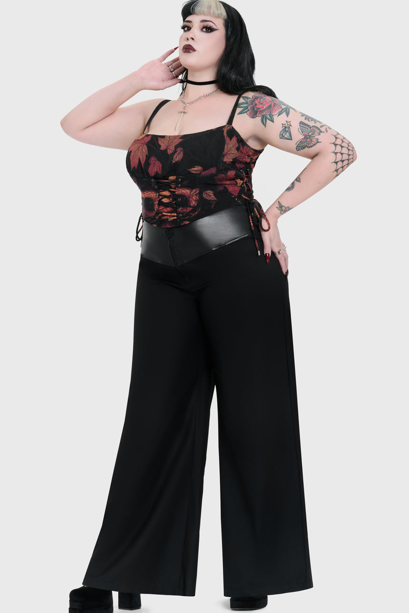 Model:plus
