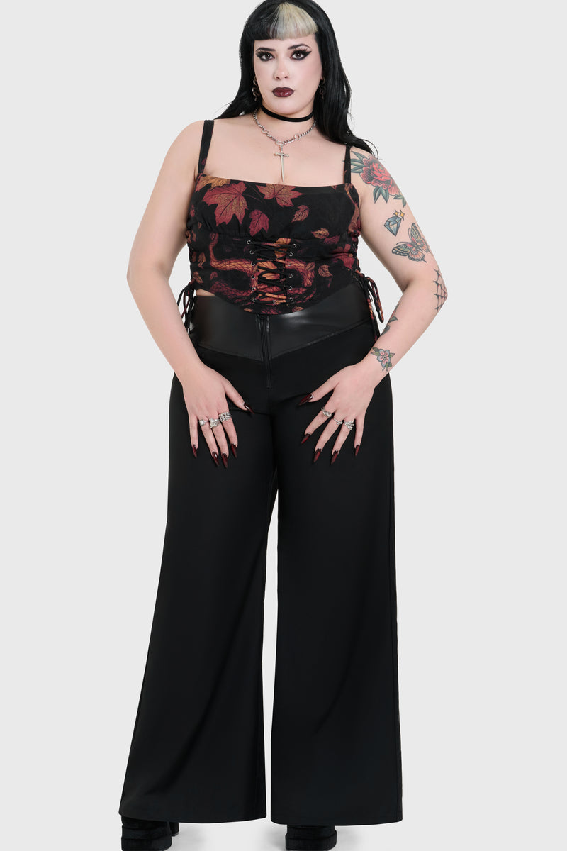 Model:plus