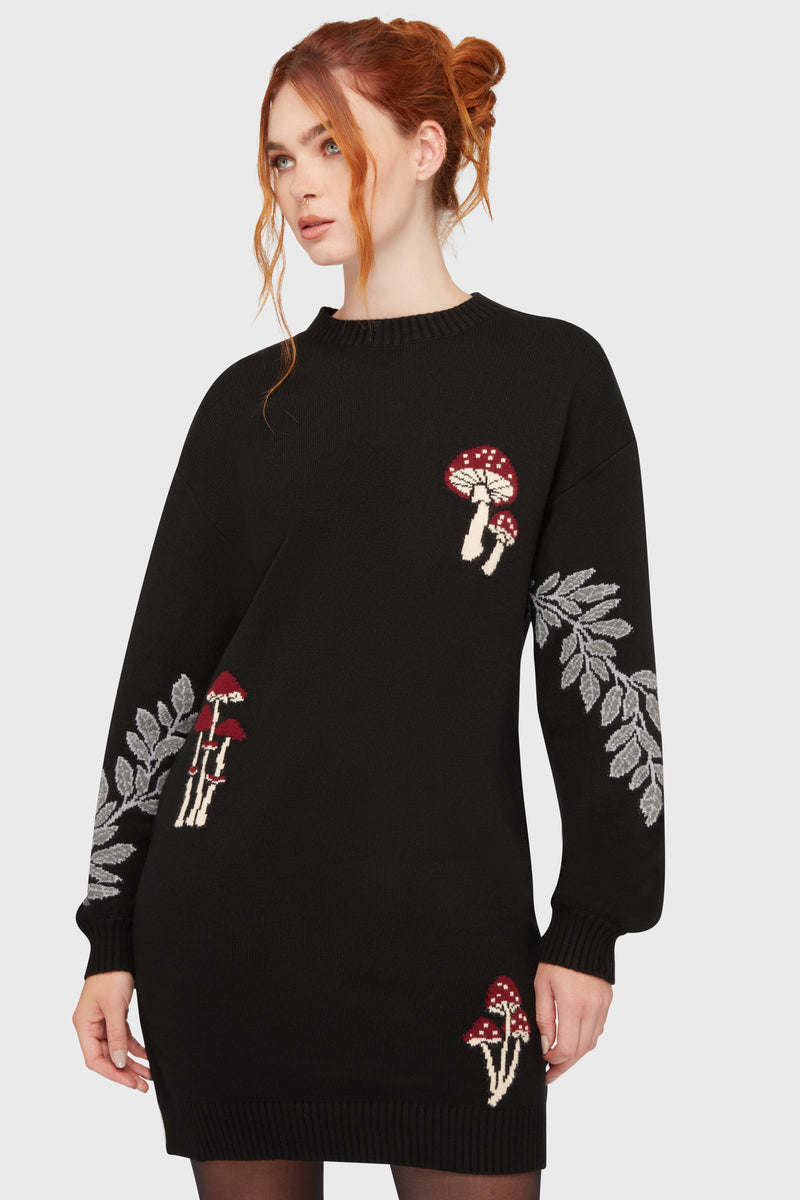 Bitter Morelle Sweater Dress