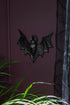 Cave Dweller Wall Decor