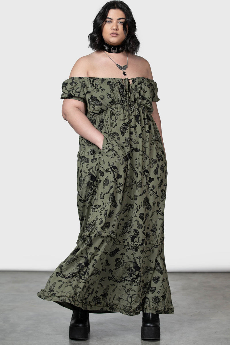 Model:plus