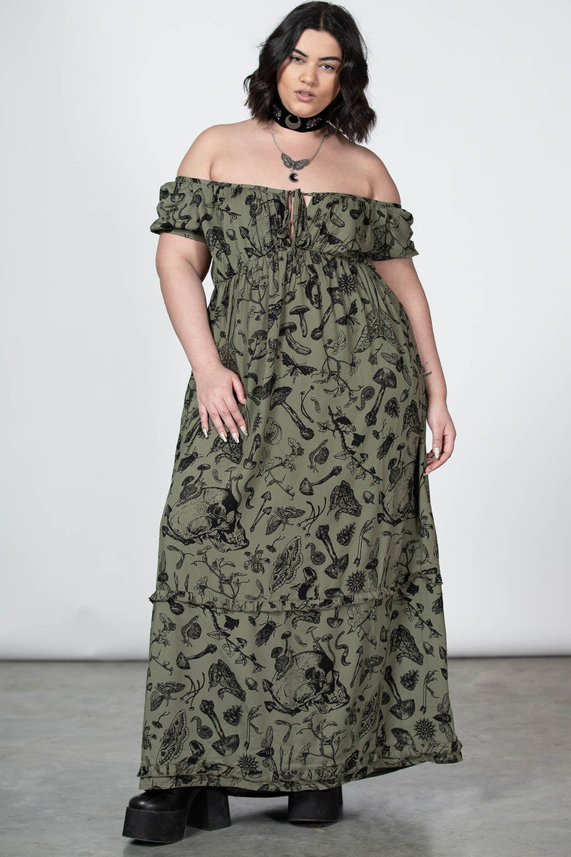 Model:plus