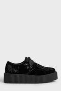 Nocturnal Creepers