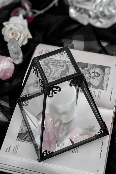 Nova Glass Display Case