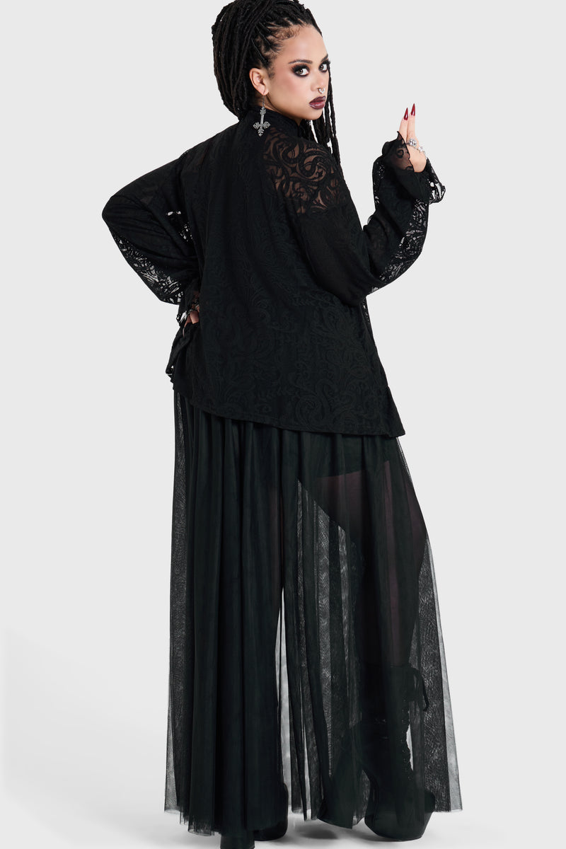 Model:plus