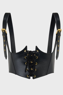 Phantoms Embrace Harness