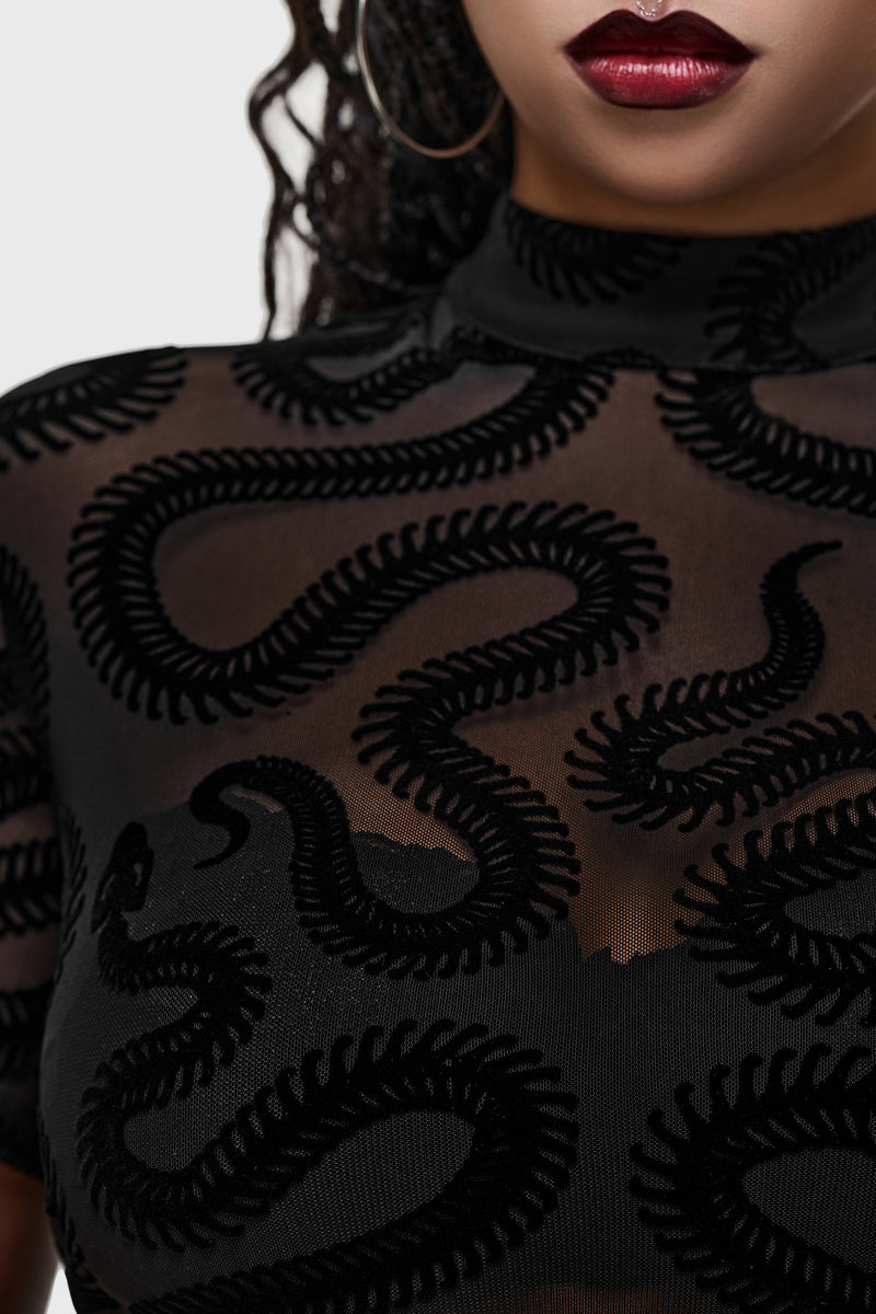 Serpentes Top