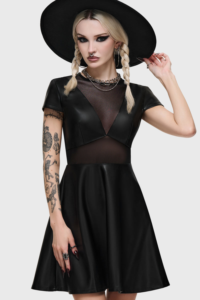 Shadow Skater Mini Dress