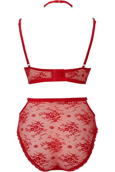 Sheer Evil Panty [SCARLET]